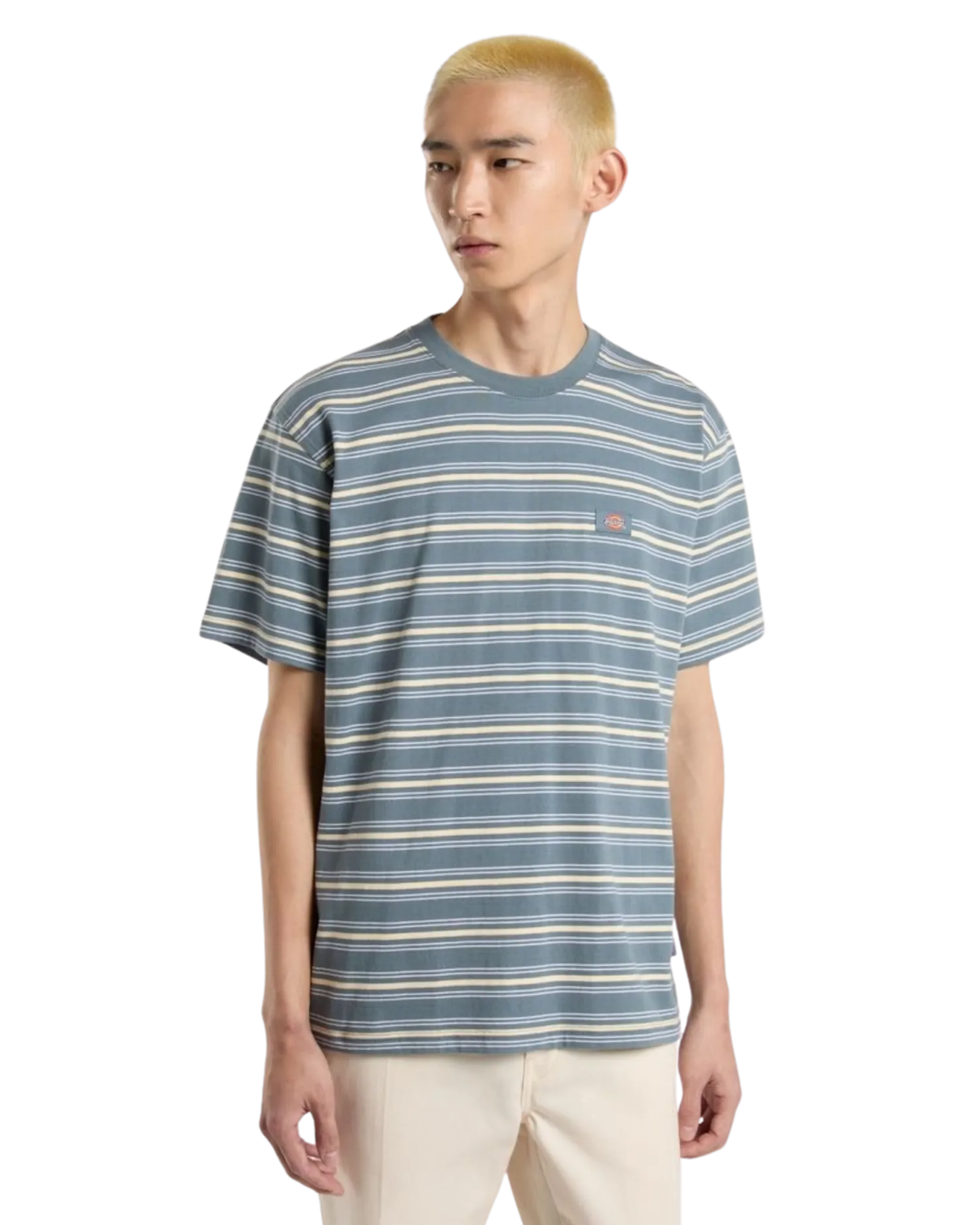 Lewistown Stripe T-Shirt in Stormy Weather