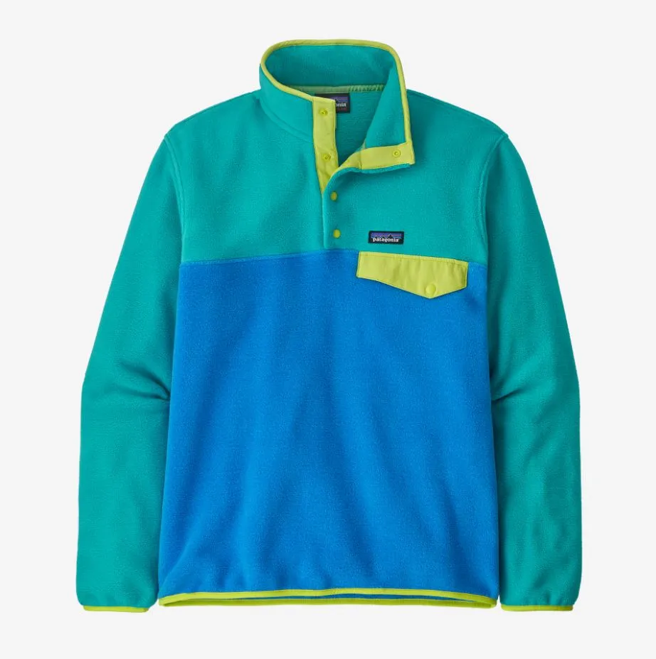 Patagonia Lightweight Synchilla Snap-T Pullover